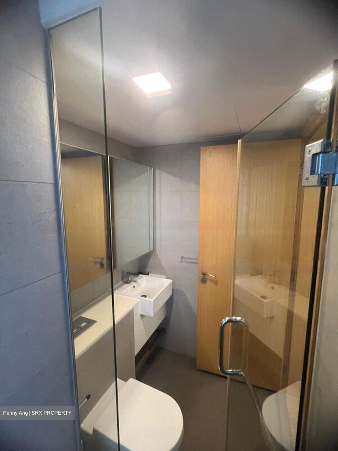 Eight Riversuites (D12), Condominium #556328381